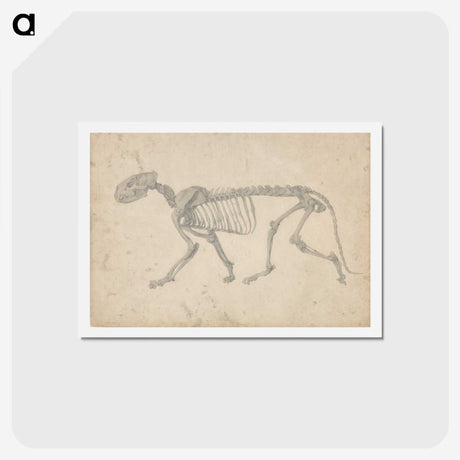 2-35_George-Stubbs_hagaki