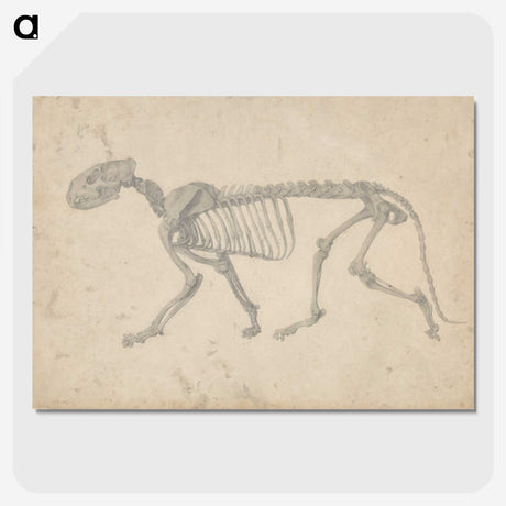 2-35_George-Stubbs_picture-crop