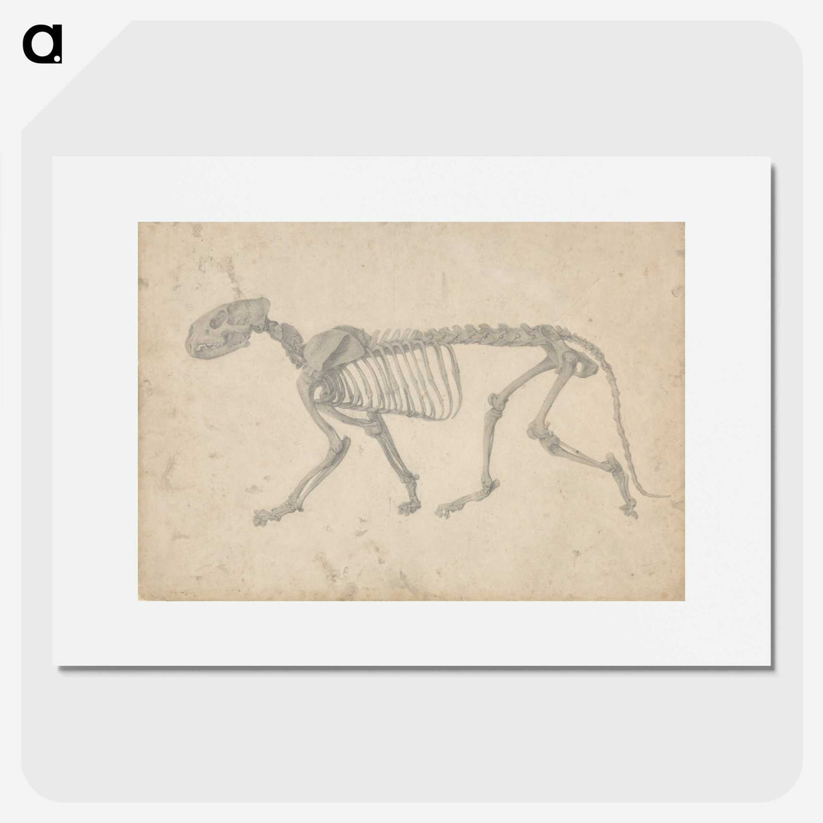 2-35_George-Stubbs_picture