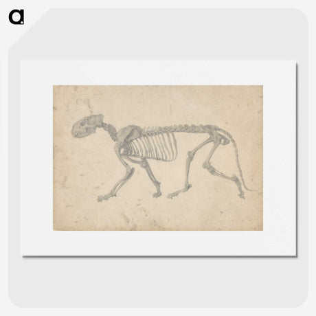 2-35_George-Stubbs_picture