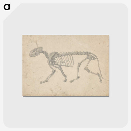 2-35_George-Stubbs_postcard