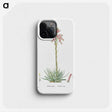 2-35_Histoire-des-Plantes-Grasses_phone