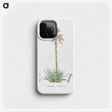 2-35_Histoire-des-Plantes-Grasses_phone