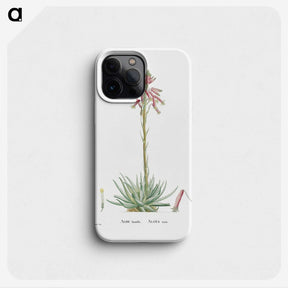 2-35_Histoire-des-Plantes-Grasses_phone