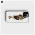 2-35_Ichtyologie-ou-Histoire-naturelle_phone
