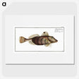 2-35_Ichtyologie-ou-Histoire-naturelle_picture