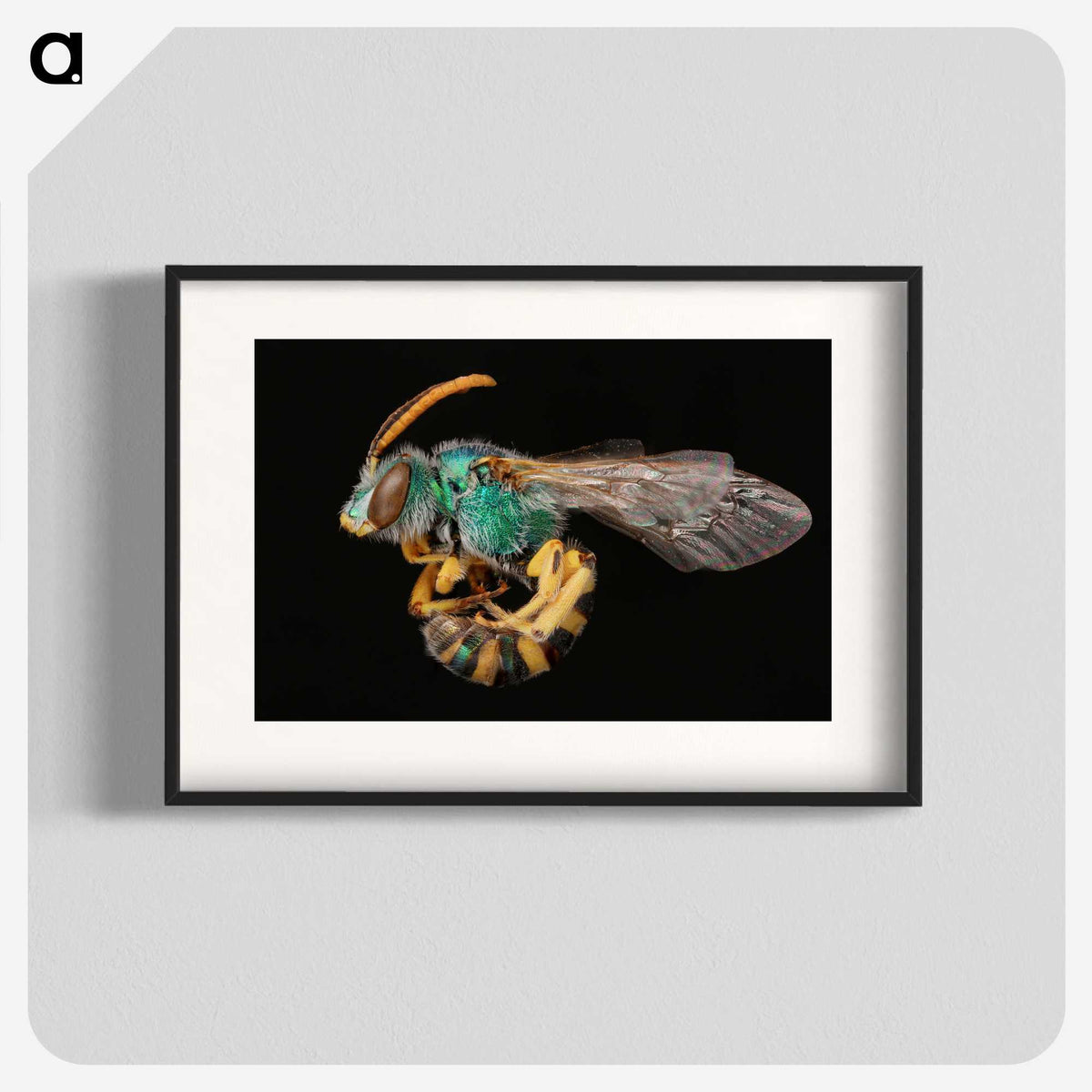 2-35_Insects-Unlocked-Project_blk