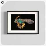 2-35_Insects-Unlocked-Project_blk