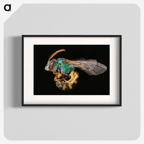 2-35_Insects-Unlocked-Project_blk