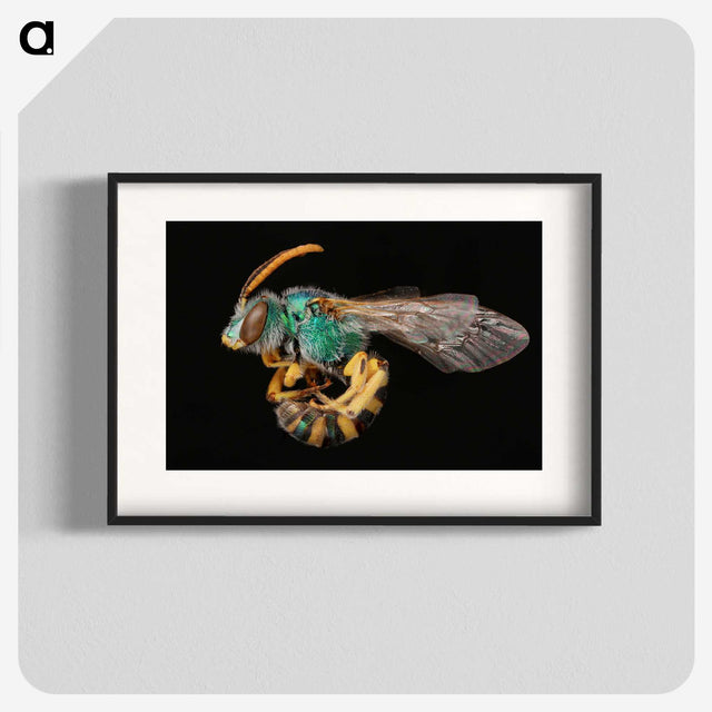 2-35_Insects-Unlocked-Project_blk