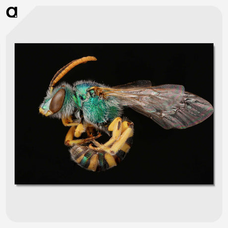 2-35_Insects-Unlocked-Project_picture-crop
