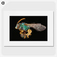 2-35_Insects-Unlocked-Project_picture