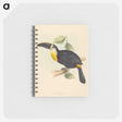 2-35_John-Gould_memo