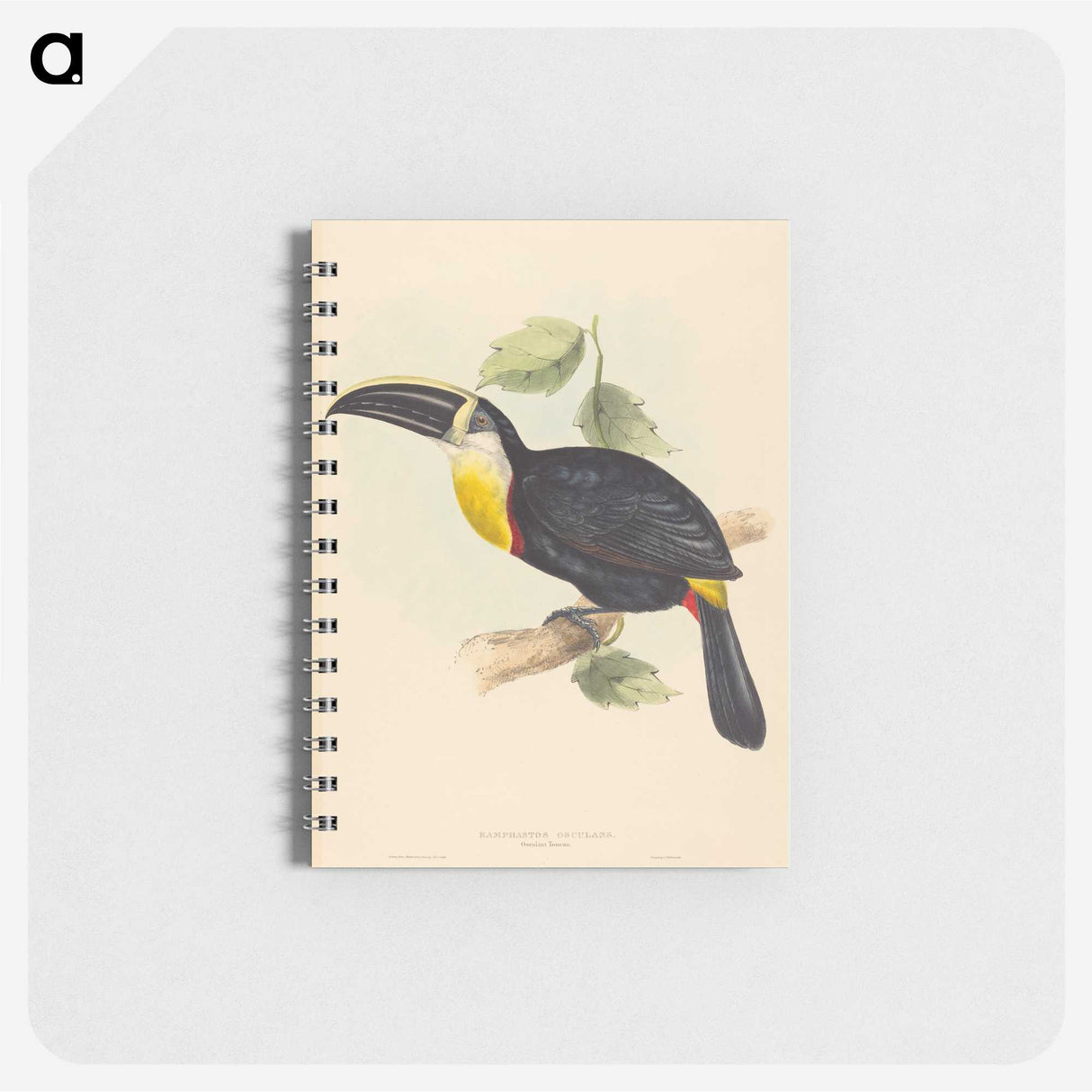 2-35_John-Gould_memo