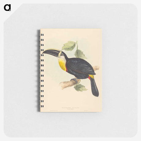 2-35_John-Gould_memo
