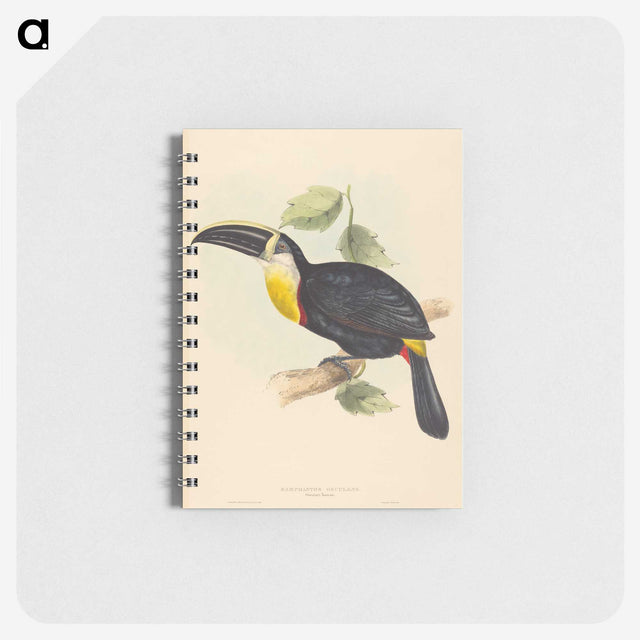 2-35_John-Gould_memo