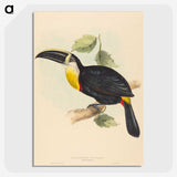 2-35_John-Gould_picture-crop