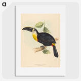 2-35_John-Gould_picture