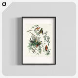 2-35_John-James-Audubon_blk