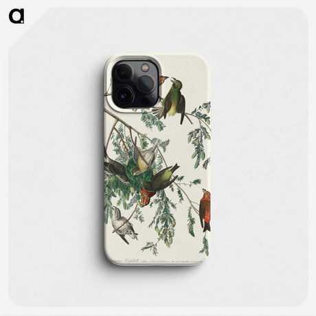2-35_John-James-Audubon_phone