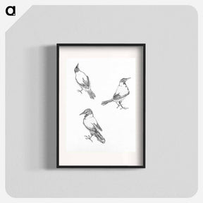 アートポスター-Three sketches of a crow - ユリー デ フラーハ Poster.