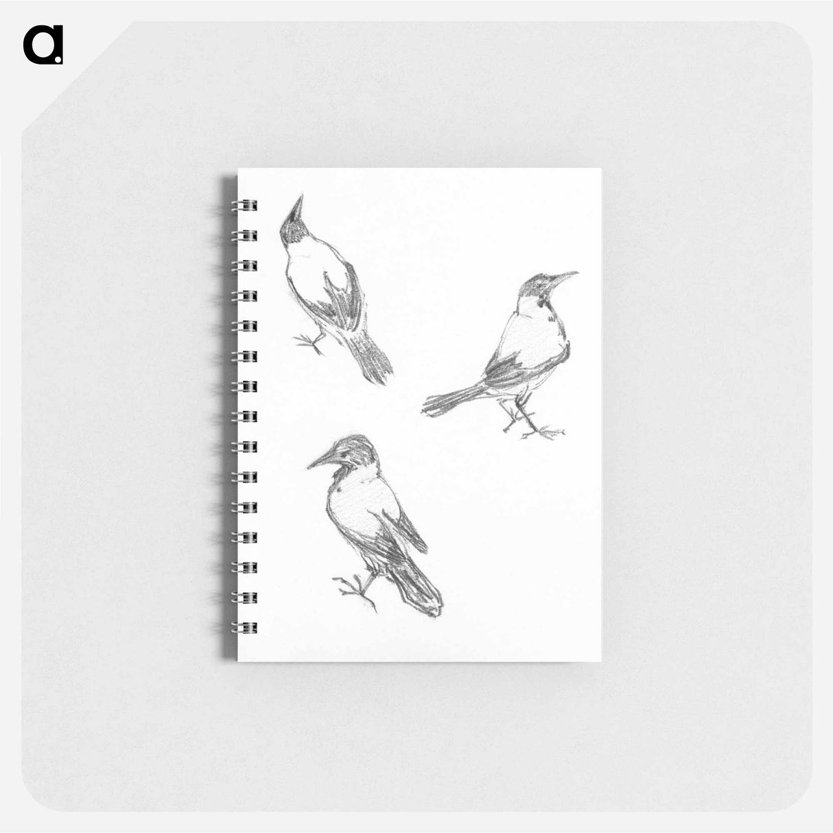 Three sketches of a crow - ユリー デ フラーハ Memo.