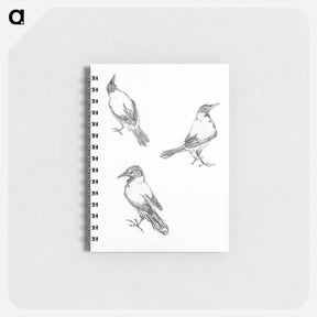 アートメモ帳-Three sketches of a crow - ユリー デ フラーハ Memo.