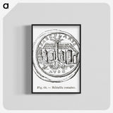 2-35_Les-Palmiers-Histoire-Iconographique_blk-crop
