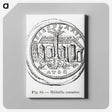 2-35_Les-Palmiers-Histoire-Iconographique_canvas