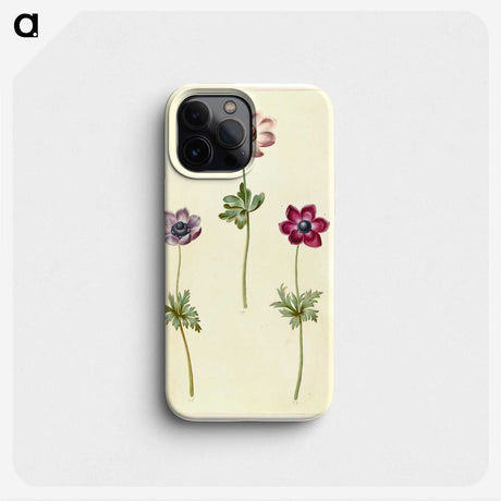 2-35_Maria-Sibylla-Merian_phone