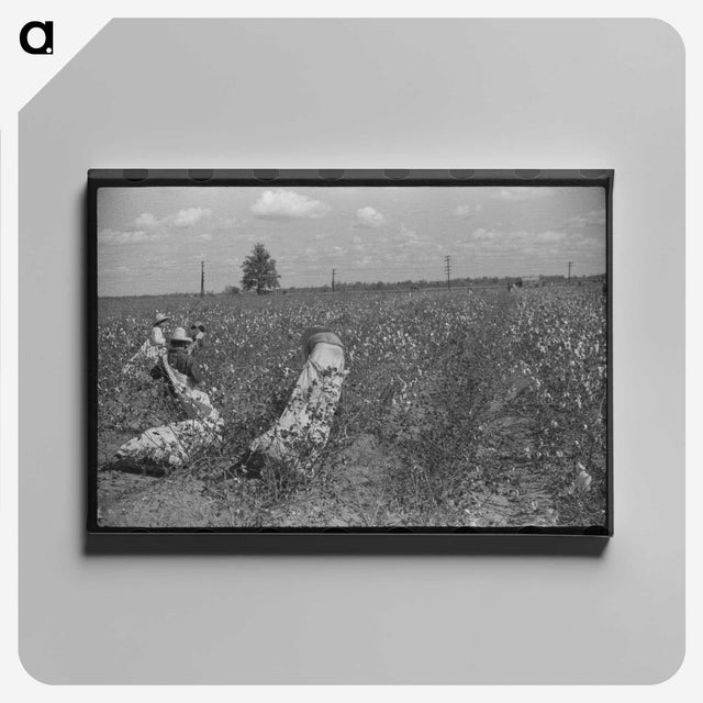 2-35_Marion-Post-Wolcott_canvas
