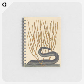 2-35_Mark-Catesby_memo