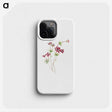 2-35_Mary-Vaux-Walcott_phone