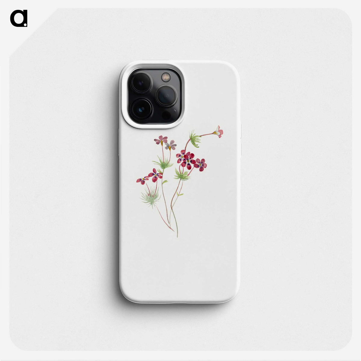 2-35_Mary-Vaux-Walcott_phone