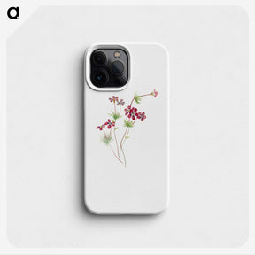 2-35_Mary-Vaux-Walcott_phone
