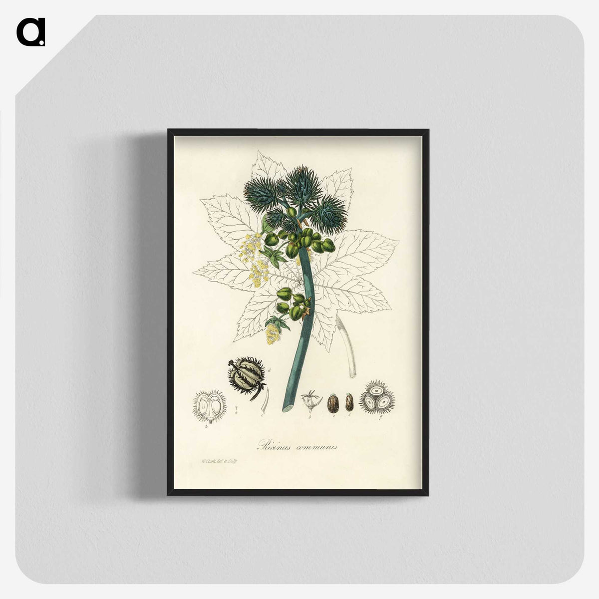 2-35_Medical-Botany_blk-crop