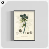 2-35_Medical-Botany_blk-crop