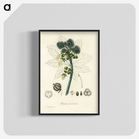 2-35_Medical-Botany_blk-crop