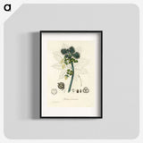 2-35_Medical-Botany_blk