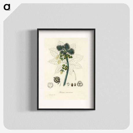 2-35_Medical-Botany_blk