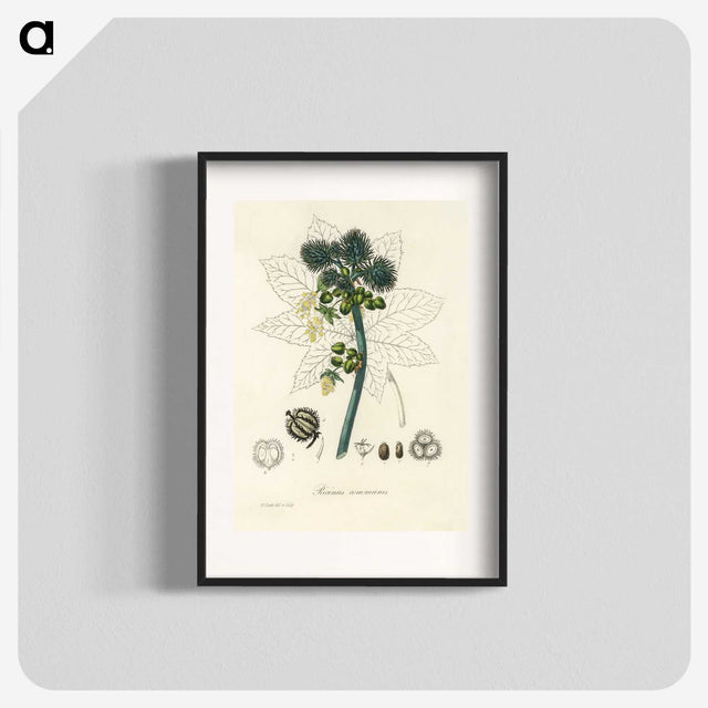 2-35_Medical-Botany_blk
