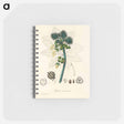 アートメモ帳-Castor Oil Plant Illustration
 - 薬用植物学 Memo.