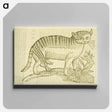 アートパネル-Felis foemina hexapus cum aelurogono, idest buglossa
 - 国立医学図書館 Canvas.