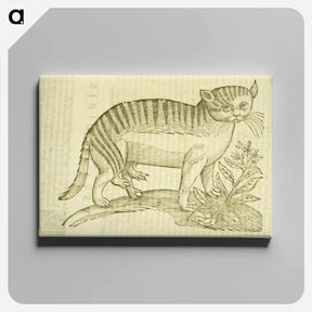 アートパネル-Felis foemina hexapus cum aelurogono, idest buglossa
 - 国立医学図書館 Canvas.