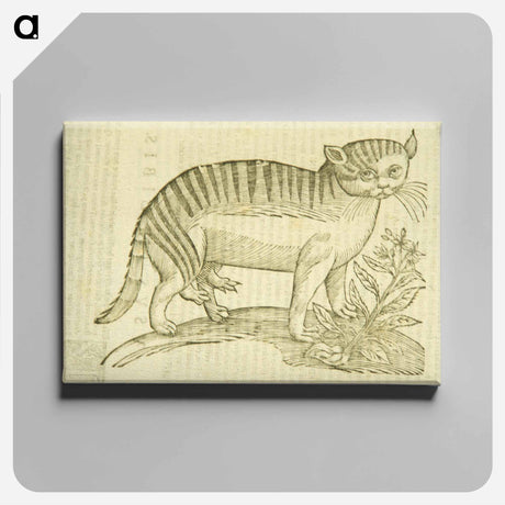 アートパネル-Felis foemina hexapus cum aelurogono, idest buglossa
 - 国立医学図書館 Canvas.