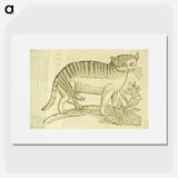 アートポスター-Felis foemina hexapus cum aelurogono, idest buglossa
 - 国立医学図書館 Poster.
