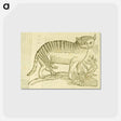 アートポストカード-Felis foemina hexapus cum aelurogono, idest buglossa
 - 国立医学図書館 Postcard.