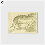 アートポストカード-Felis foemina hexapus cum aelurogono, idest buglossa
 - 国立医学図書館 Postcard.