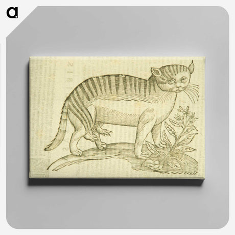 2-35_National-Library-of-Medicine_canvas