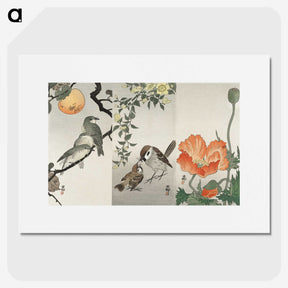 2-35_Ohara-Koson_picture